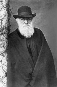 Darwin, Evolution, Biologie, Darwinismus, Sozialdarwinismus