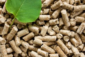 Holzpellets unter einem grünen Blatt