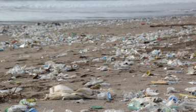 Plastikmüll aus dem Meer als Rohstoff?